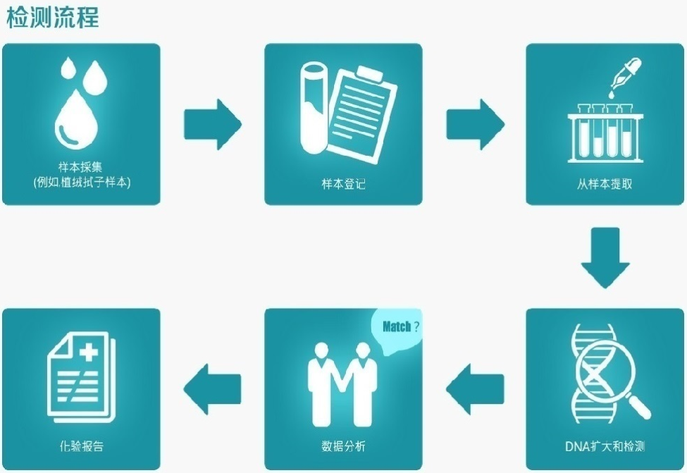 可以强制要求亲子鉴定吗?详情咨询权威亲子鉴定中心